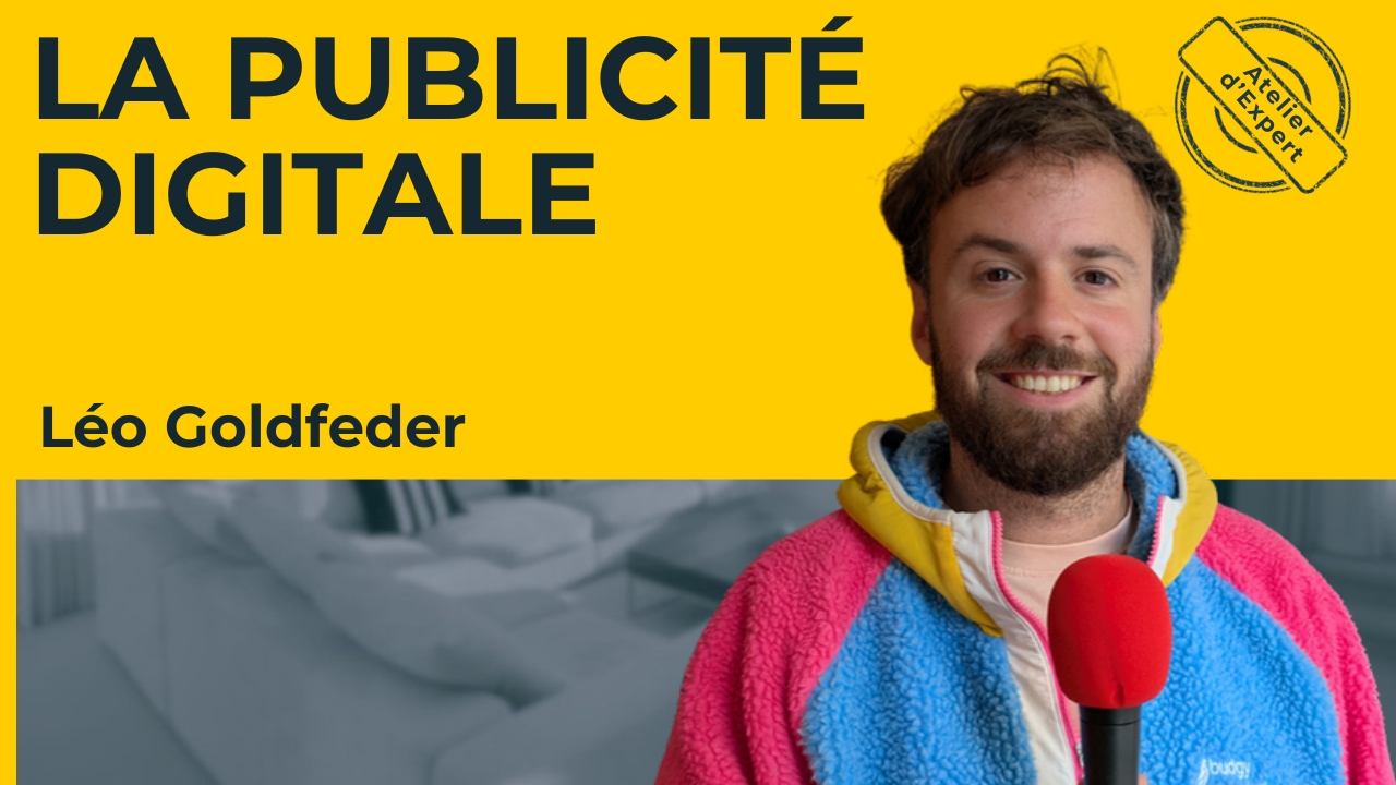 Léo Goldfeder - La Publicité Digitale